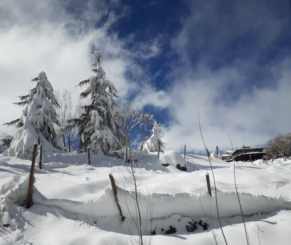 Day Trip to the Andes Mountains, west of Santiago.